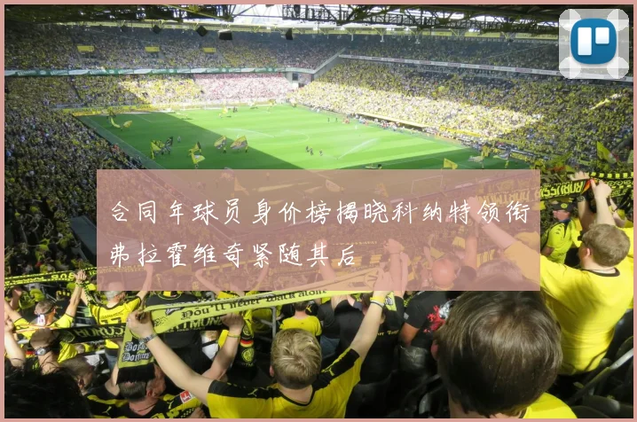 合同年球员身价榜揭晓科纳特领衔弗拉霍维奇紧随其后