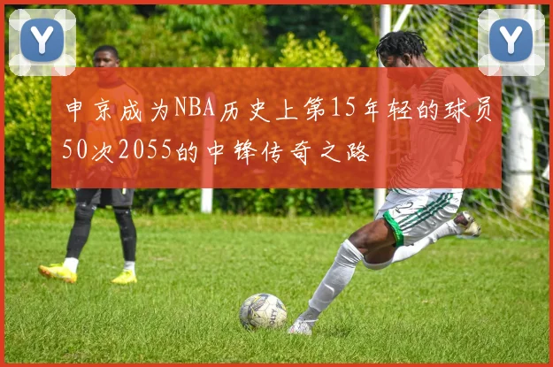 申京成为NBA历史上第15年轻的球员50次2055的中锋传奇之路