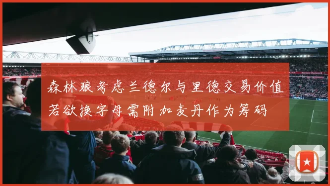 森林狼考虑兰德尔与里德交易价值若欲换字母需附加麦丹作为筹码